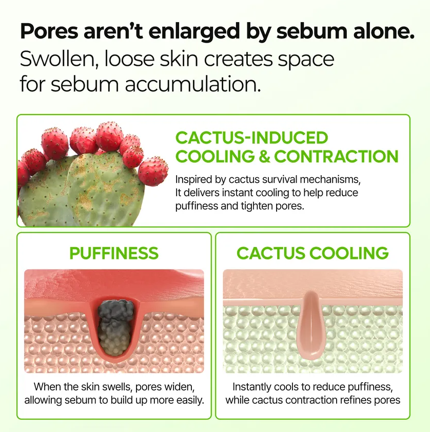 Dr. Melaxin – Cactox Pore Relief Multi Balm at Skin Junction Australia